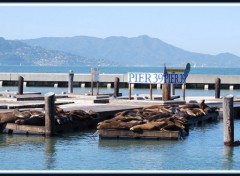 Fonds d'cran Voyages : Amrique du nord Quai 39 San-Francisco (Californie)