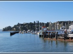 Fonds d'cran Voyages : Amrique du nord Tiburon (Californie)