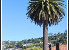 Fonds d'cran Voyages : Amrique du nord Tiburon (Californie)