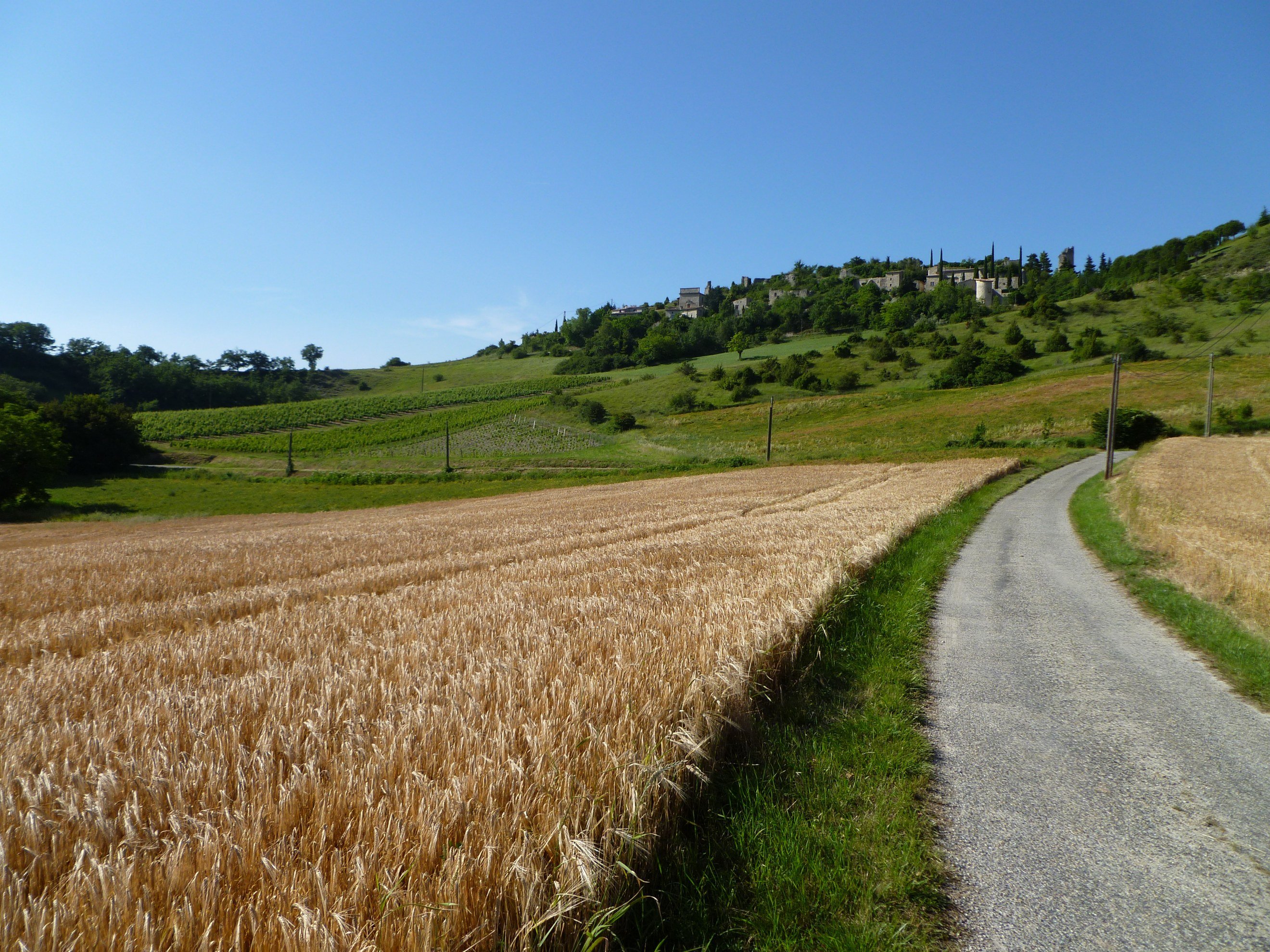 Wallpapers Nature Fields 