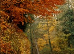 Fonds d'cran Nature Le banc