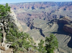 Fonds d'cran Voyages : Amrique du nord grand canyon