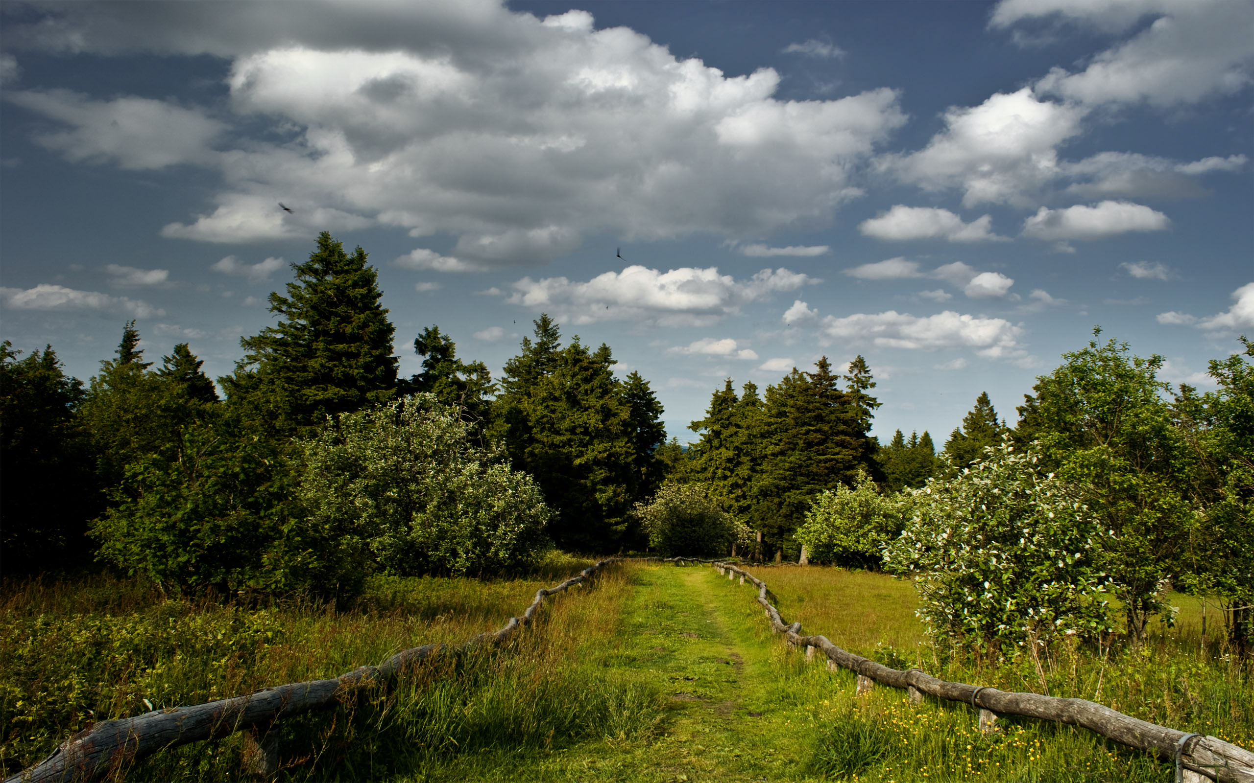 Fonds d'cran Nature Paysages Taunus Berg