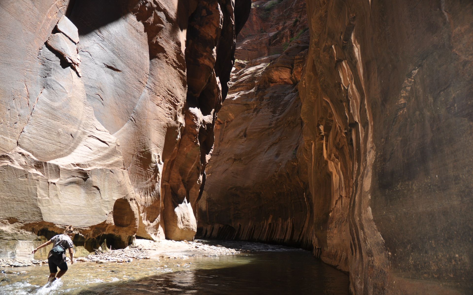 Fonds d'cran Nature Canyons The Narrows (Zion national Park)