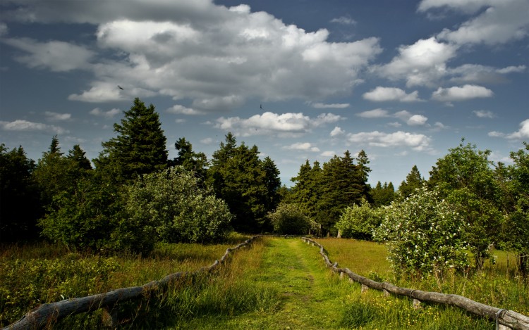 Wallpapers Nature Landscapes Taunus Berg