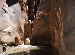 Fonds d'cran Nature The Narrows (Zion national Park)