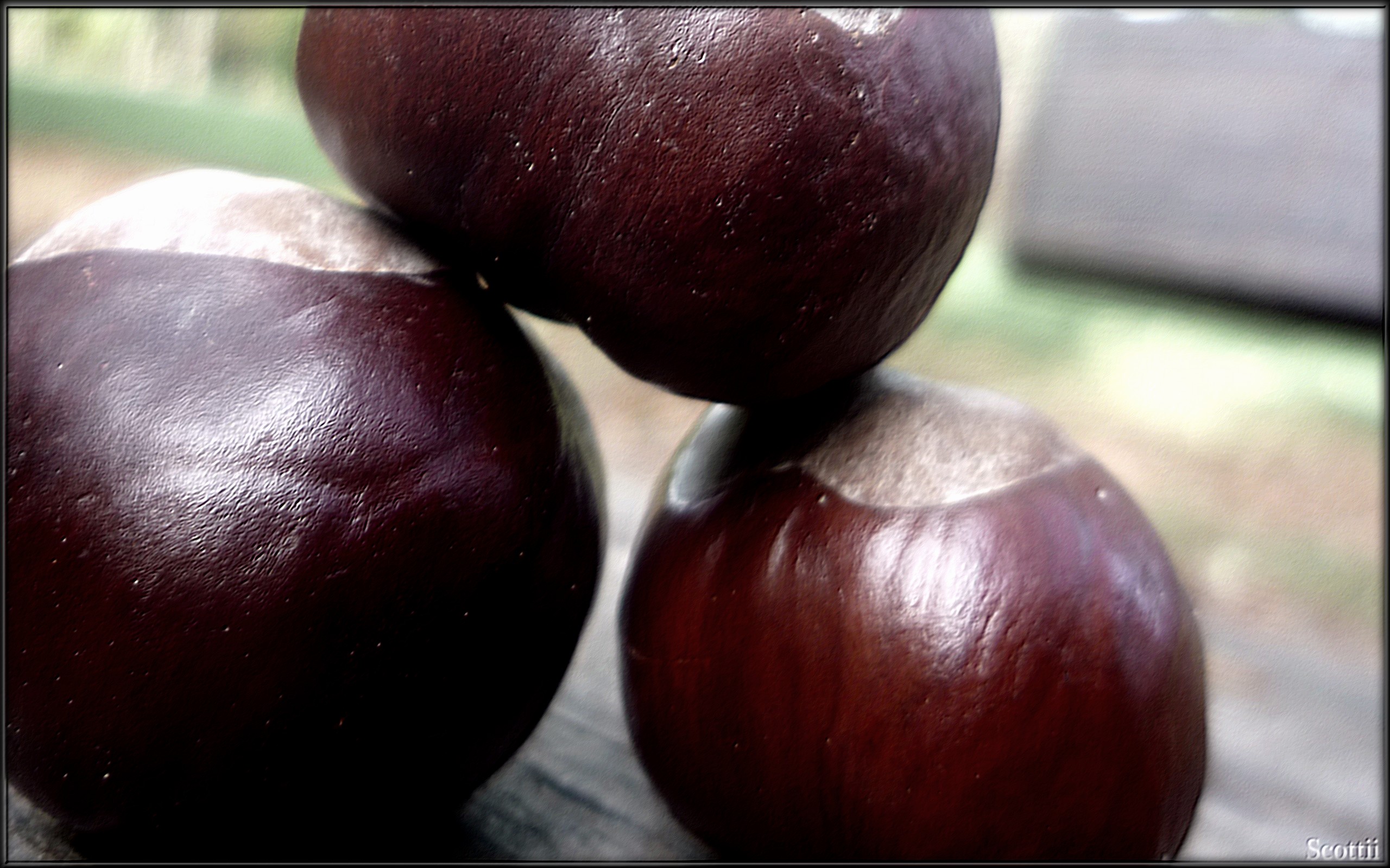 Fonds d'cran Nature Fruits Goutez aux Marrons 