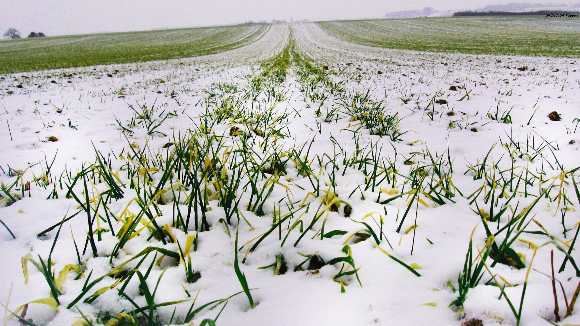 Fonds d'cran Nature Saisons - Hiver 