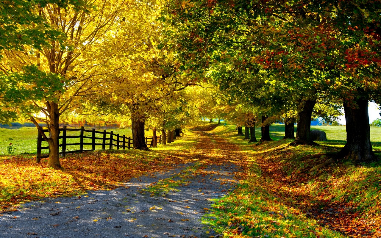 Wallpapers Nature Seasons - Fall Routes