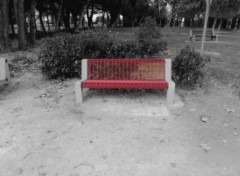 Wallpapers Nature Le banc rouge