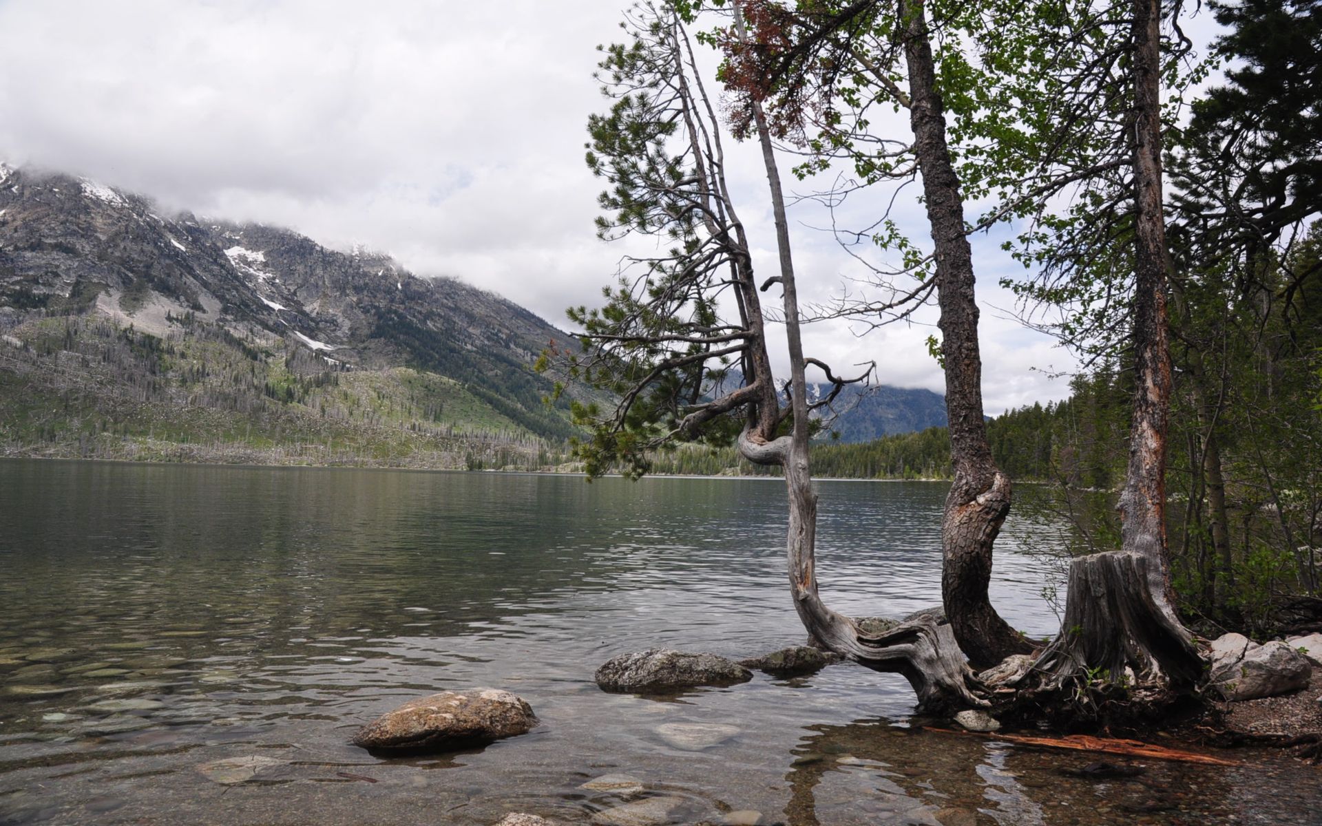 Fonds d'cran Nature Lacs - Etangs Tranquilit