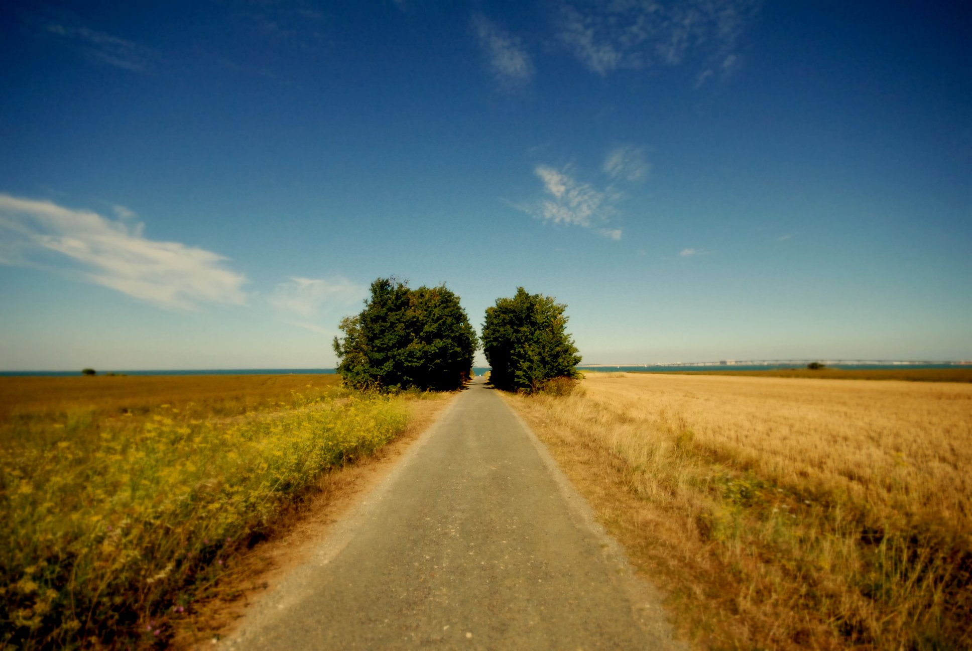 Wallpapers Nature Fields 