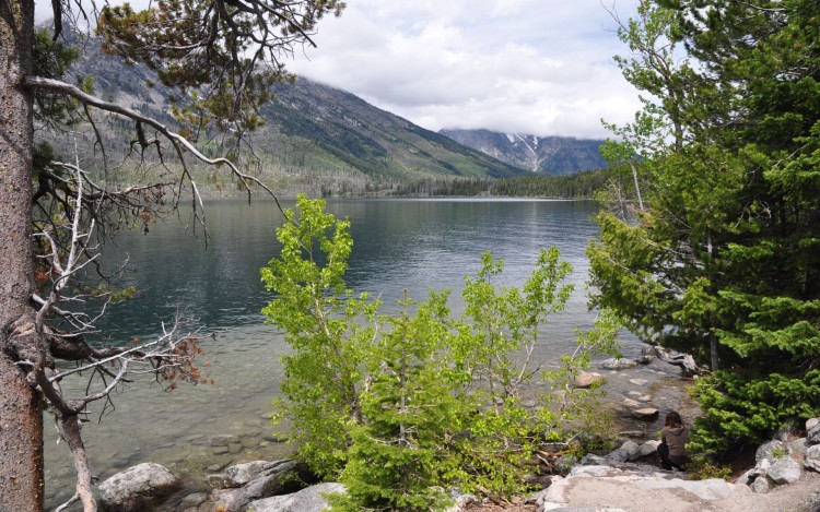 Fonds d'cran Nature Lacs - Etangs Lac du Grand Teton Wyoming