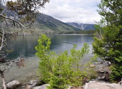 Fonds d'cran Nature Lac du Grand Teton Wyoming