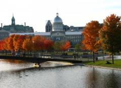 Fonds d'cran Nature Journe d'automne dans le Vieux Port de Montral