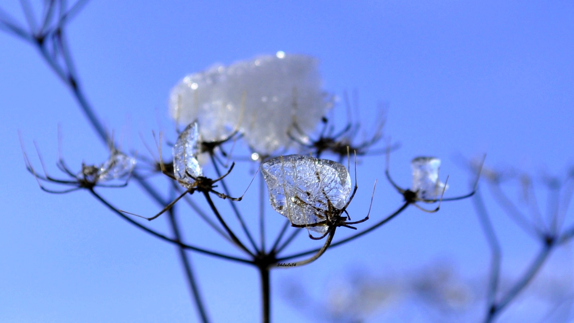 Fonds d'cran Nature Saisons - Hiver 