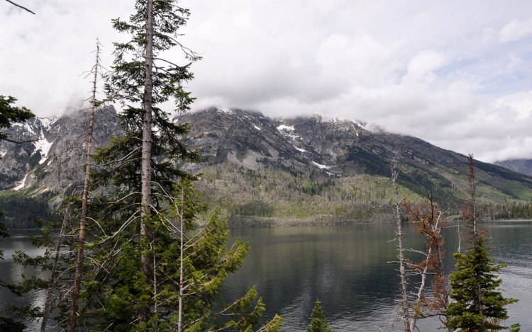 Fonds d'cran Nature Paysages lac du Grand Teton Wyoming