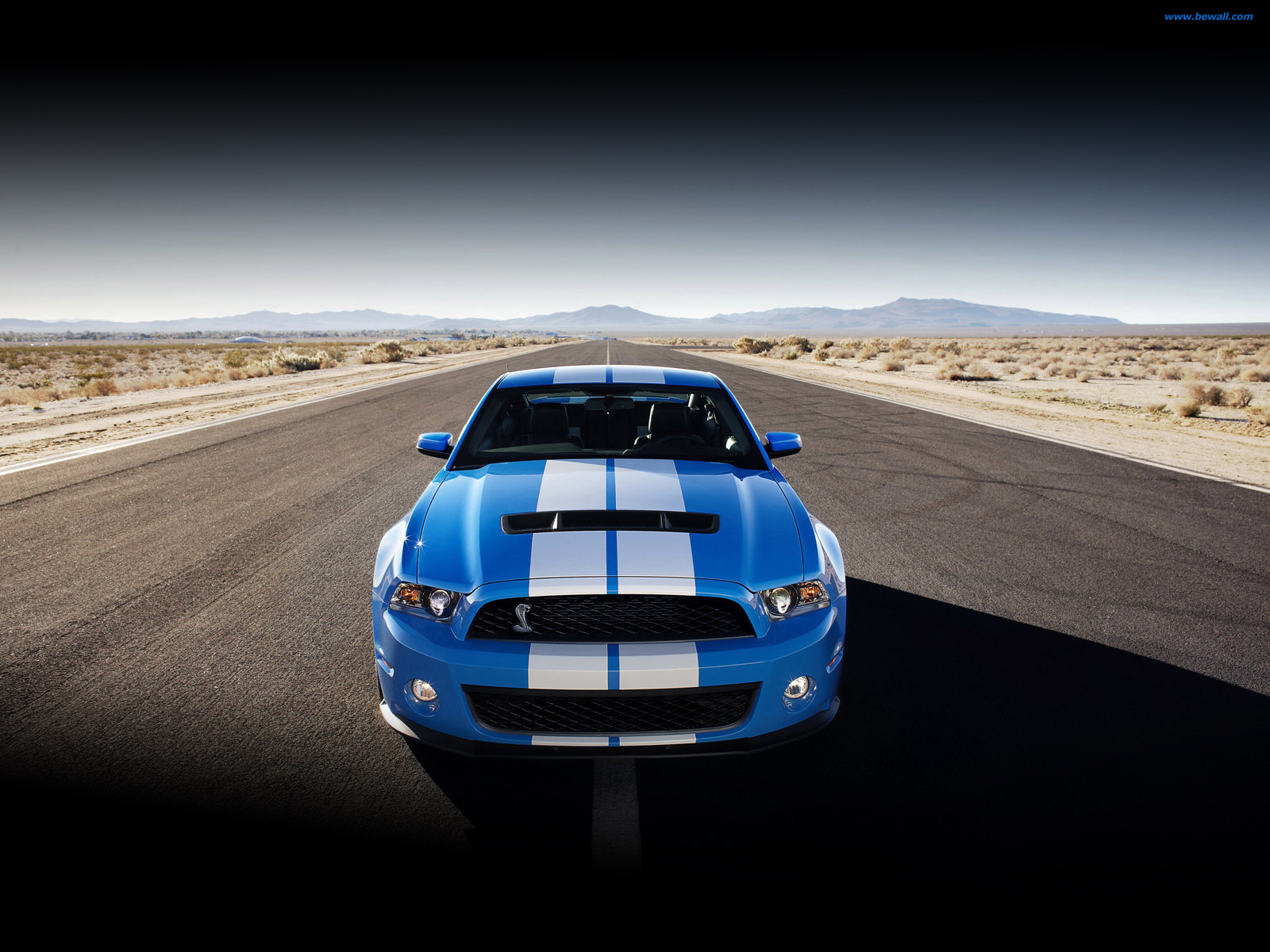 Wallpapers Cars Ford ford mustang 2011