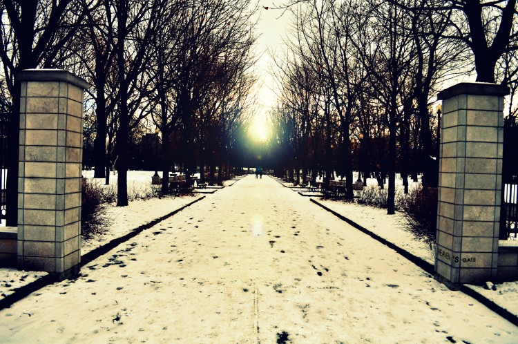 Fonds d'cran Nature Parcs - Jardins Heaven's Gate