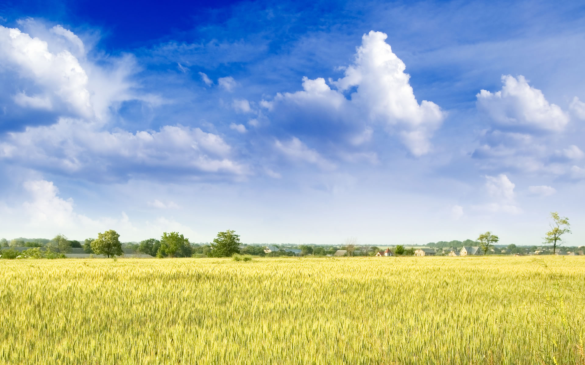 Fonds d'cran Nature Champs - Prairies Entre ciel et terre