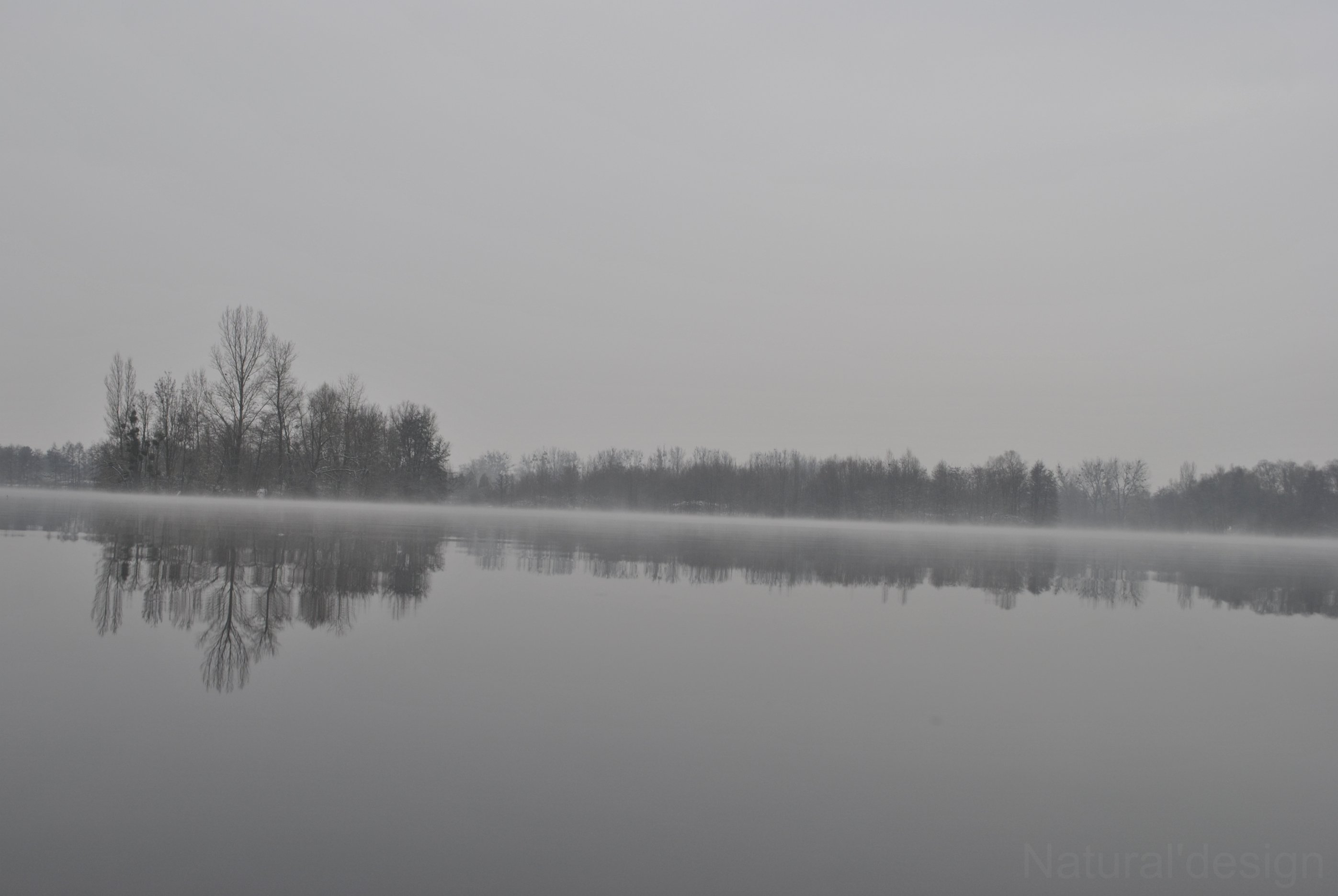 Wallpapers Nature Saisons - Winter Brume matinal