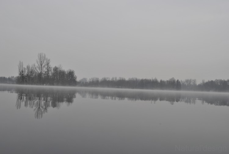 Wallpapers Nature Saisons - Winter Brume matinal