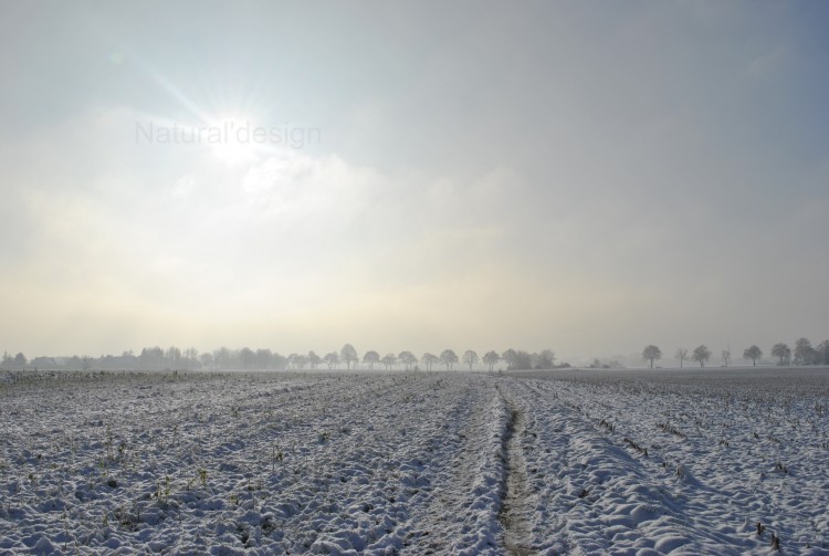 Fonds d'cran Nature Saisons - Hiver Natural bleu  ;-)