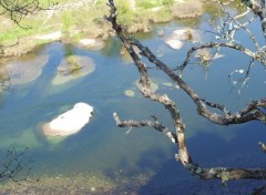 Fonds d'cran Nature rivire en ardche