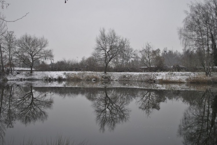 Fonds d'cran Nature Lacs - Etangs effet mirroir