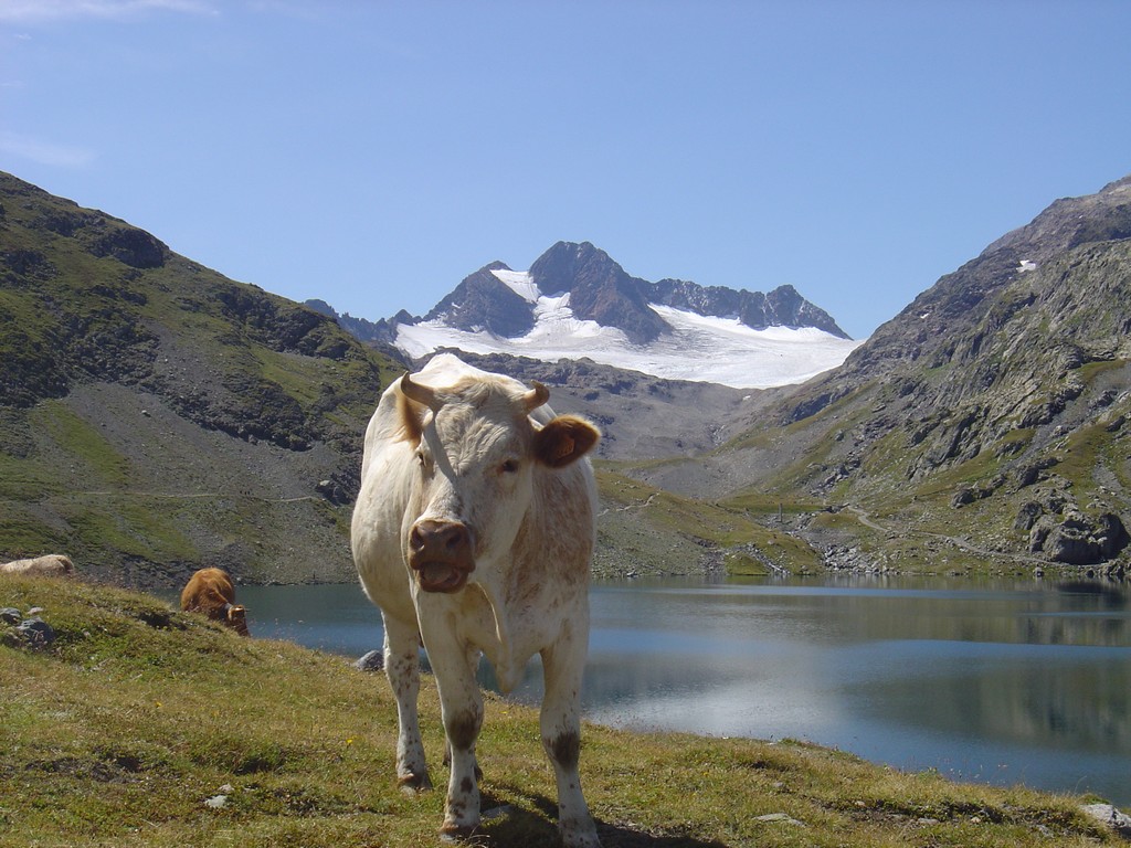 Wallpapers Nature Lakes - Ponds lac de montagne