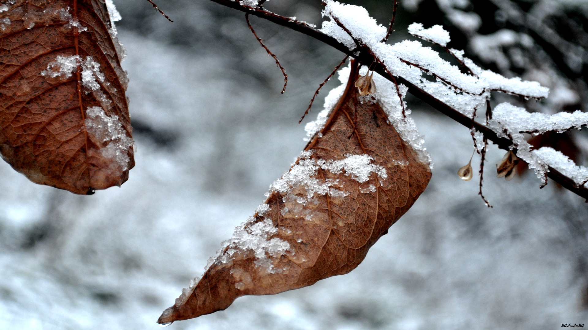 Wallpapers Nature Saisons - Winter 