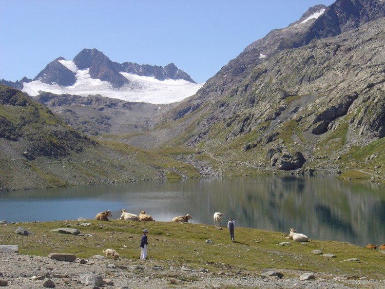 Fonds d'cran Nature Lacs - Etangs lac de montagne