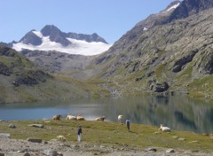 Fonds d'cran Nature lac de montagne