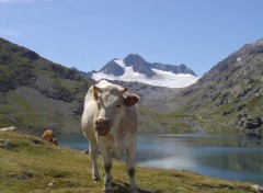 Fonds d'cran Nature lac de montagne