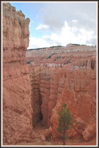 Wallpapers Trips : North America United-States Bryce Canyon (Utah)