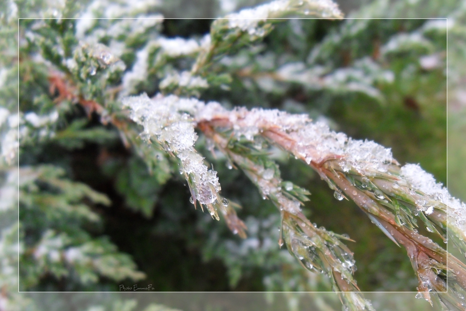 Fonds d'cran Nature Saisons - Hiver 