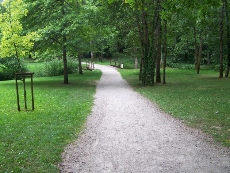 Fonds d'cran Nature Arbres - Forts Chemin