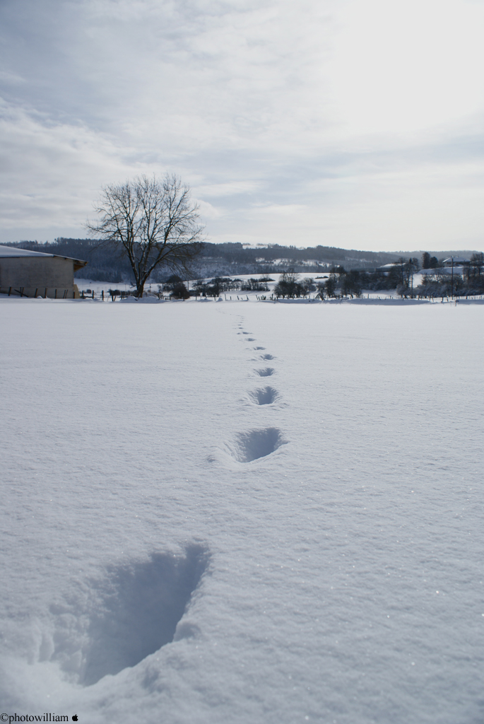 Fonds d'cran Nature Saisons - Hiver hiver