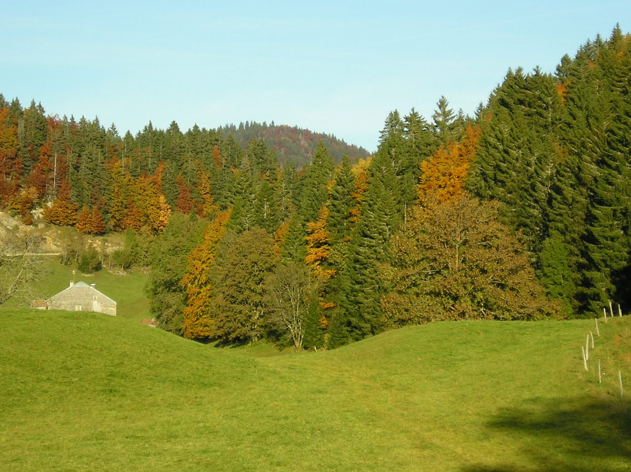 Fonds d'cran Nature Saisons - Automne Ferme jurassienne en automne