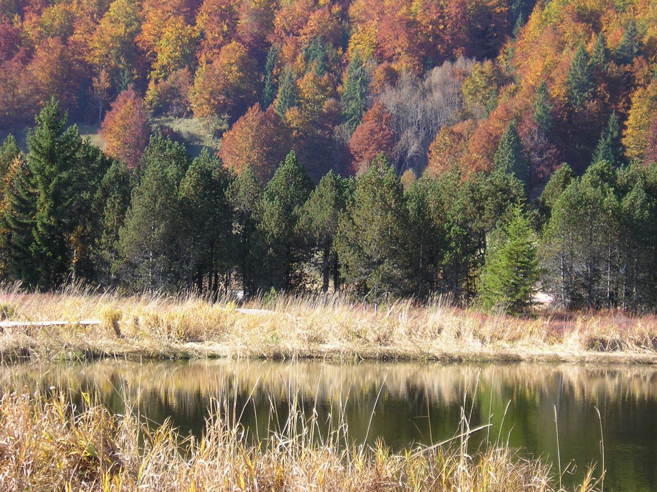 Wallpapers Nature Lakes - Ponds Lac des Rousses en automne