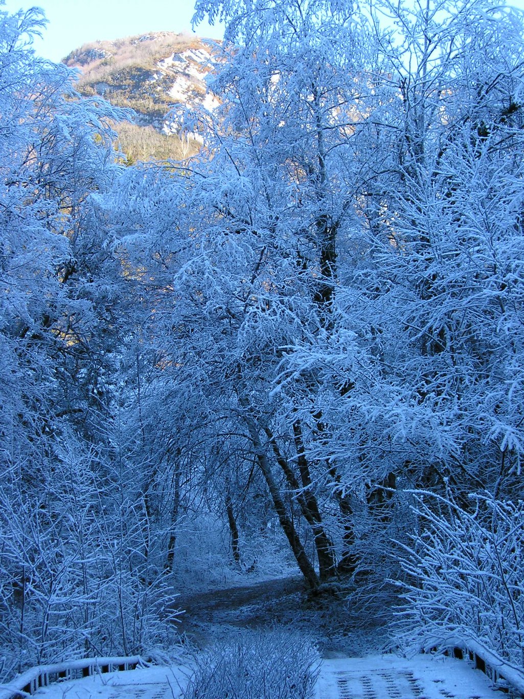 Fonds d'cran Nature Saisons - Hiver Paysage hivernal 