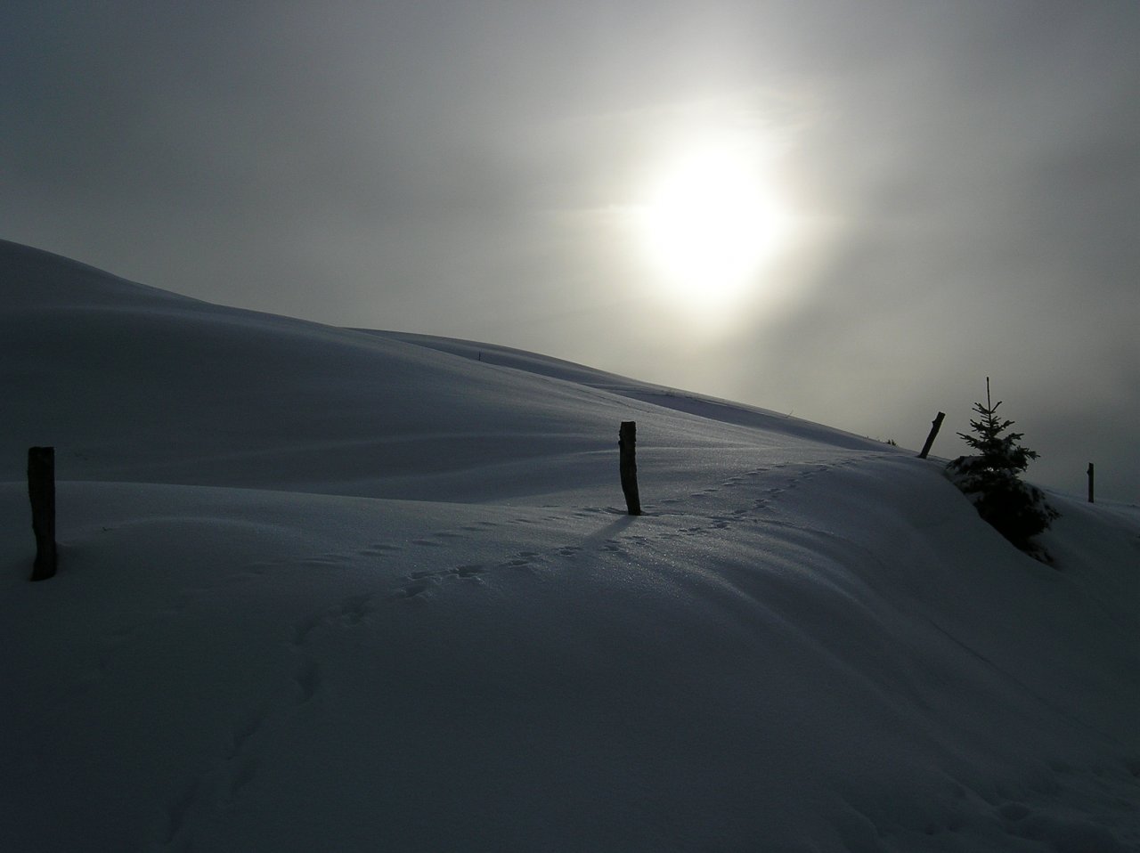 Wallpapers Nature Saisons - Winter Paysage hivernal du Ht-Jura