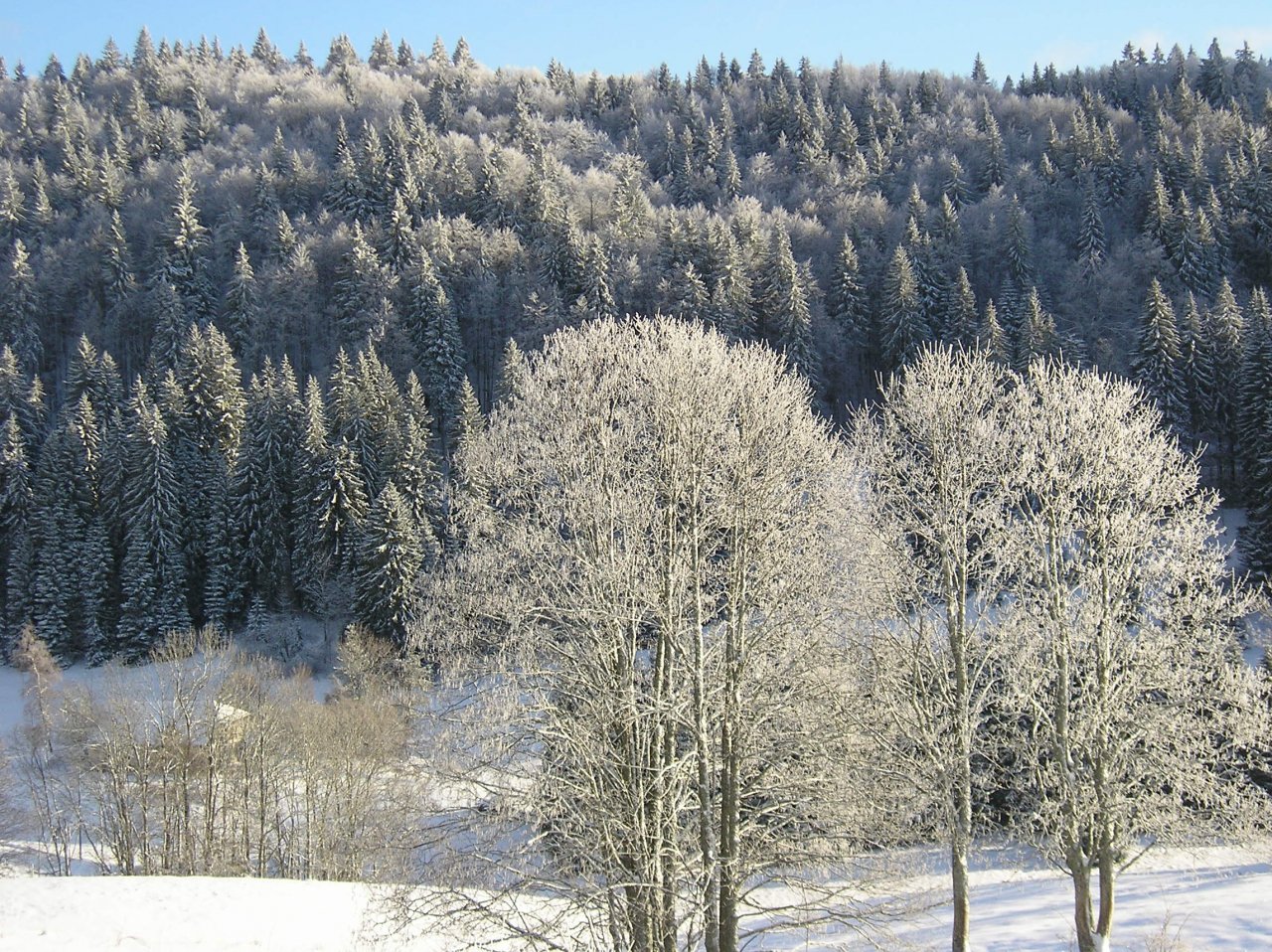 Fonds d'cran Nature Saisons - Hiver Hiver jurassien