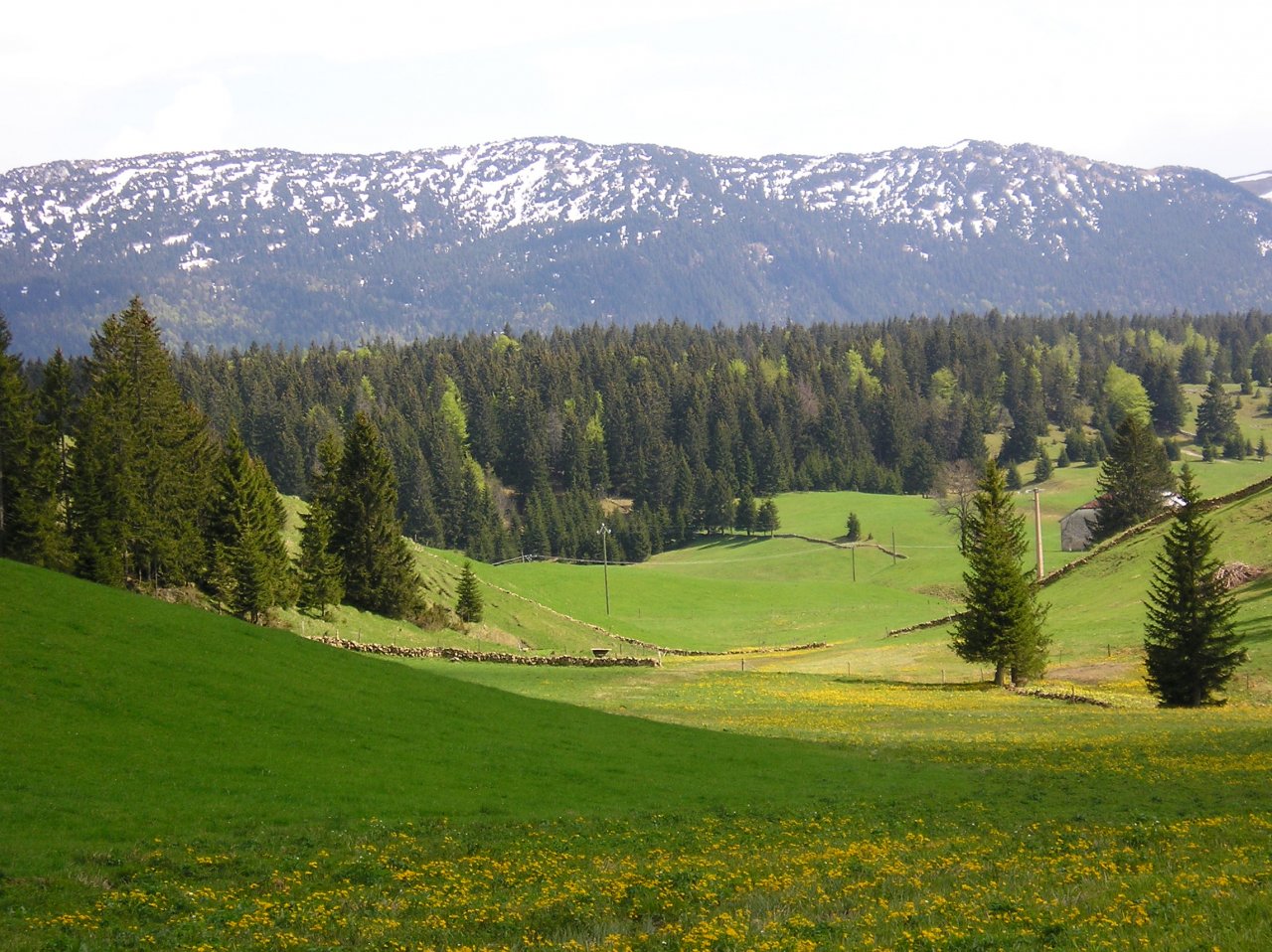 Fonds d'cran Nature Montagnes Monts Jura