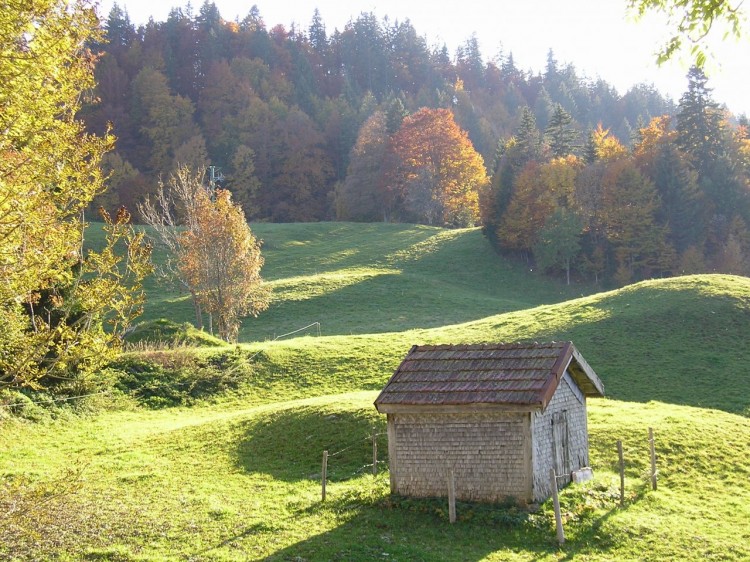 Wallpapers Nature Seasons - Fall Brume d'automne sur grenier fort