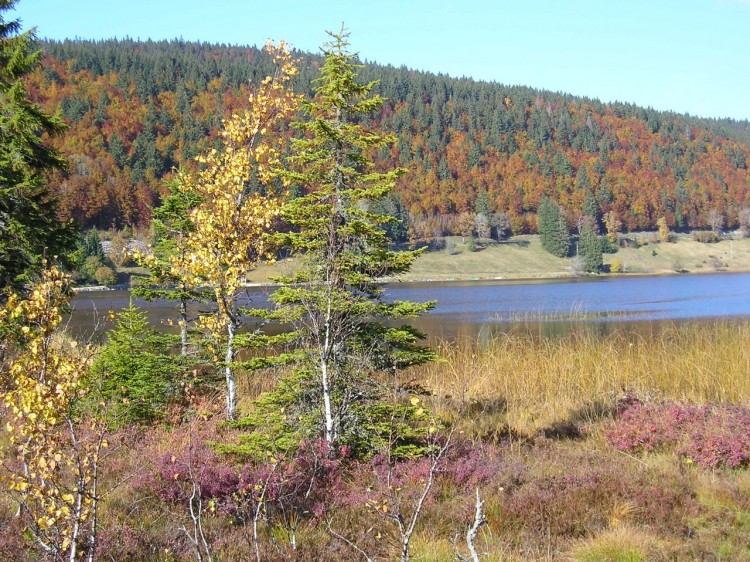 Fonds d'cran Nature Lacs - Etangs Lac des Rousses