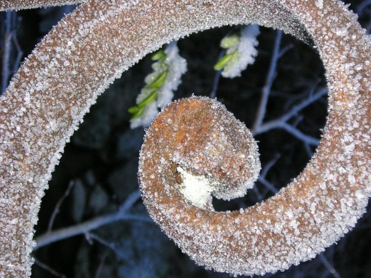 Wallpapers Nature Saisons - Winter effet de givre sur un pont