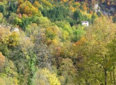 Fonds d'cran Nature Les Lacets en automne