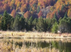 Fonds d'cran Nature Lac des Rousses en automne