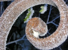 Fonds d'cran Nature effet de givre sur un pont